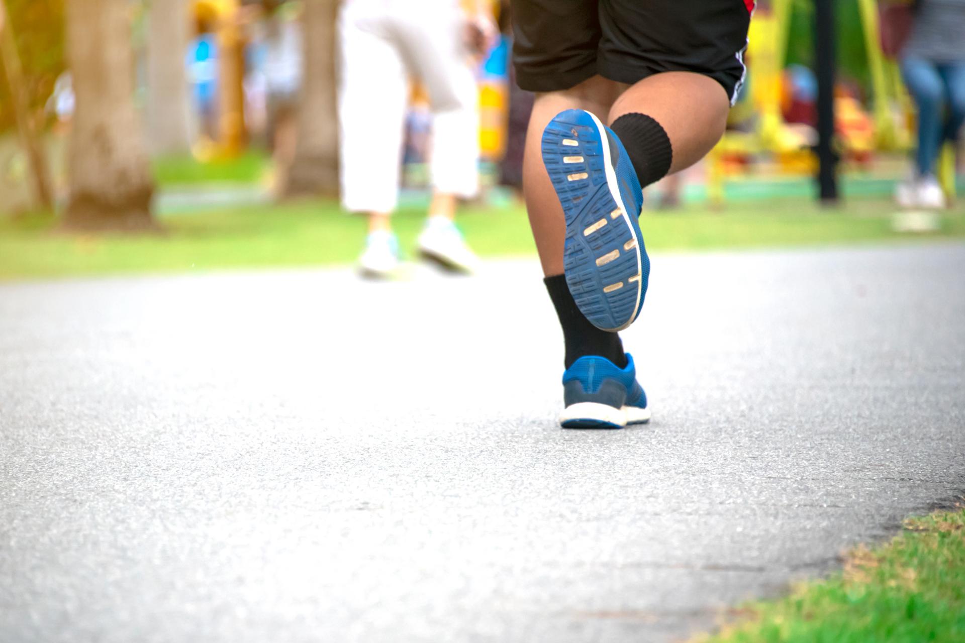 おもちゃ王国の画像