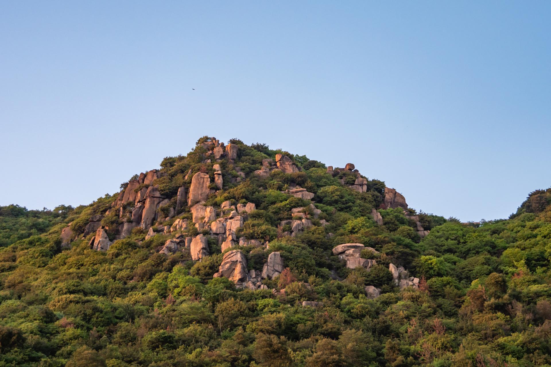王子が岳の画像